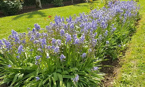 Entretien pour les entreprises