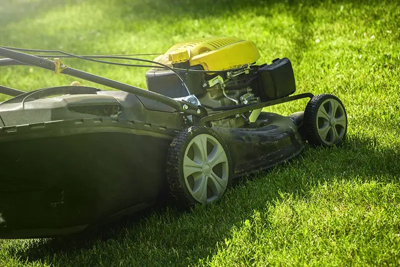 Tondeuse sur pelouse